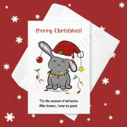 'Tis the season of miracles. Greeting card