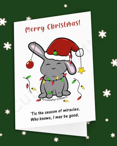 ‘Tis the season of miracles. Greeting card