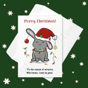 'Tis the season of miracles. Greeting card