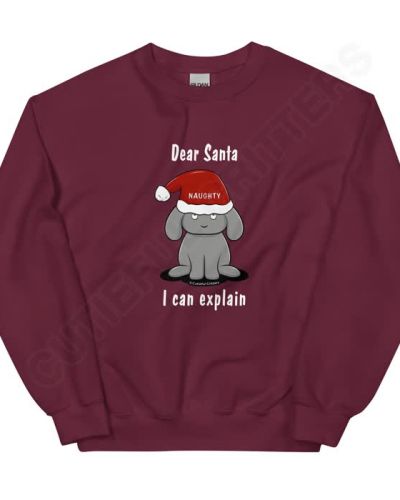 Dear Santa, I Can Explain Unisex Sweatshirt