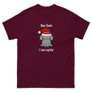 Dear Santa, I Can Explain Unisex Classic Tee