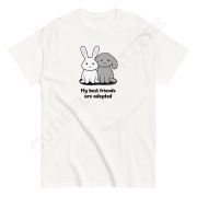 My Best Friends Are Adopted Unisex Classic Tee